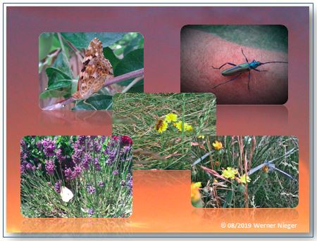 Fotos mit Text 783.jpg